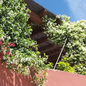 Gato Preto De - Adults Only , Silves Portugal